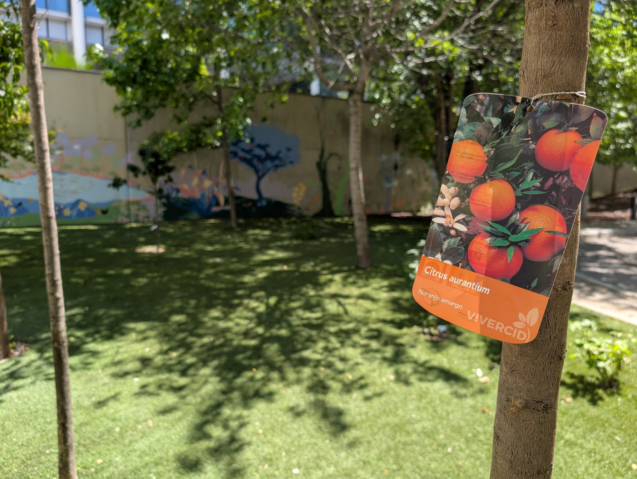 El CCHS-CSIC inaugura un jardín andalusí inspirado en la investigación arqueobotánica y una intervención artística realizada por estudiantes