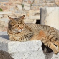 Fuente: Biea via Pixabay