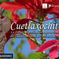 Estreno del documental "Cuetlaxóchitl. La flor ritual prehispánica que se convirtió en símbolo universal de la Navidad"